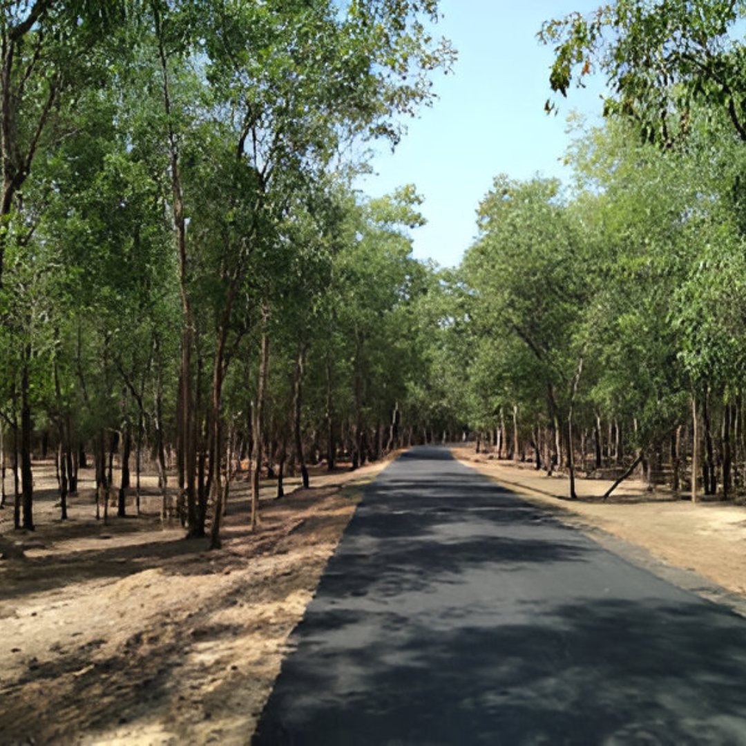 Dwariapur 2 (DBC)