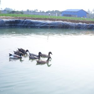 DSC03081