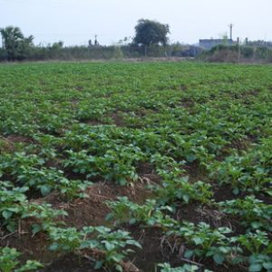 DSC03084