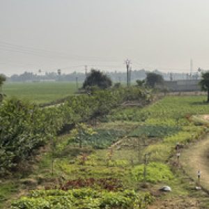 IMG_3075
