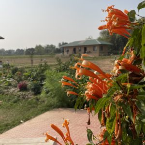 IMG_3080